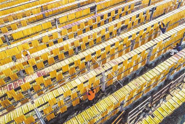 百年粉條與現(xiàn)代科技融合 配套項目建設(shè)與技術(shù)開發(fā)的雙輪驅(qū)動